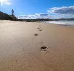 Surfers Paradise at Catherine Hill Bay - Tourism Hervey Bay