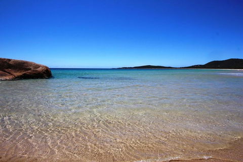 A Reel Teal - Hervey Bay Accommodation 3