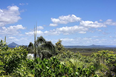 Piccolo Peregian - Pet Friendly- Peregian Beach, QLD - Hervey Bay Accommodation 7
