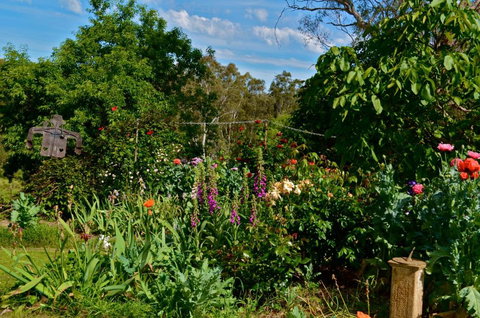 Clyde Cottage - Hervey Bay Accommodation 3