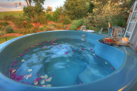 Maleny Homestead & Cottage - Hervey Bay Accommodation 4