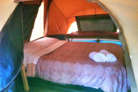 WA Wilderness Glamping - Hervey Bay Accommodation 3