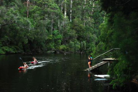 WA Wilderness Glamping - Hervey Bay Accommodation 4