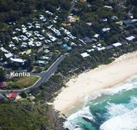 KENTIA - Tourism Hervey Bay