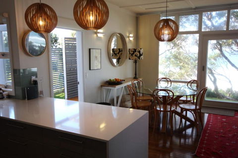 SEA URCHIN - Tourism Hervey Bay 4