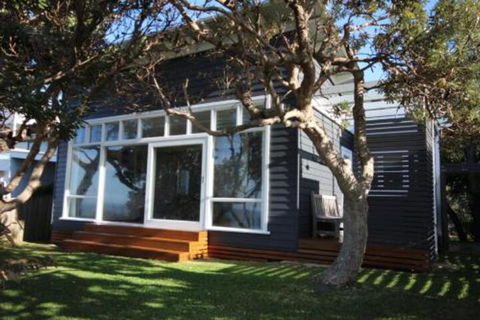 SEA URCHIN - Tourism Hervey Bay 0