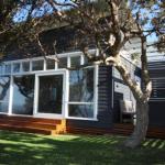 SEA URCHIN - Tourism Hervey Bay 1