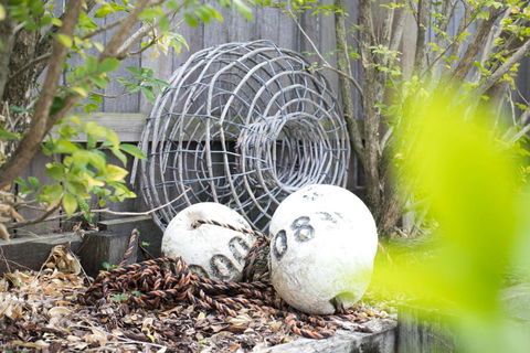 North Harbour - Tourism Hervey Bay 1