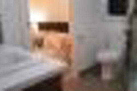 Tranquility - Hervey Bay Accommodation 2