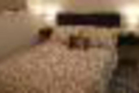 Tranquility - Hervey Bay Accommodation 1