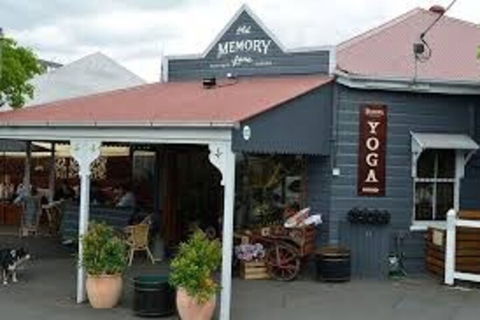 Stylish 3BD Family Home In Leafy Paddington - Tourism Hervey Bay 2