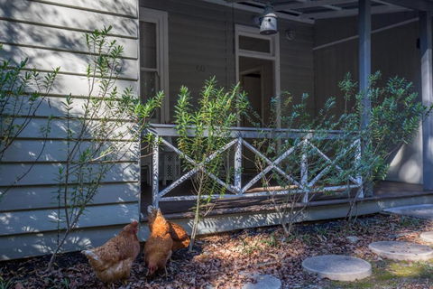 Arohanui - Tourism Hervey Bay 5