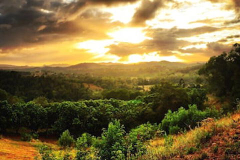 Stonehouse Farm Glamping - Tourism Hervey Bay 0