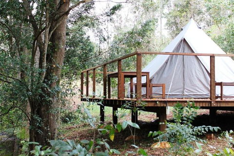 Stonehouse Farm Glamping - Tourism Hervey Bay 5