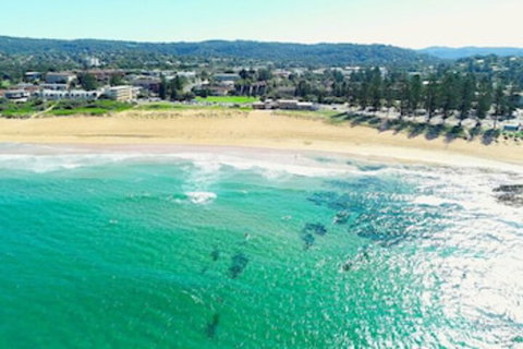 Reef Resort Apartments - Hervey Bay Accommodation 0