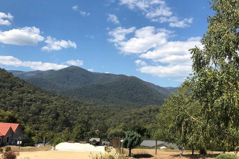 Alpine Stag Lodge Unit 2 - Hervey Bay Accommodation 7
