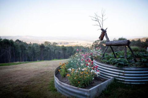 Fork N Farm Artisan Homestead - Hervey Bay Accommodation 7