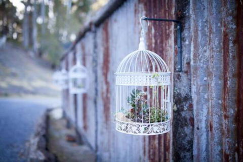 Fork N Farm Artisan Homestead - Hervey Bay Accommodation 4