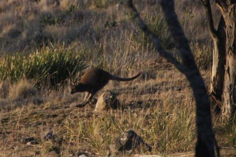 The Great House Bnb - Tourism Hervey Bay 3