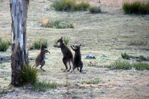 The Great House Bnb - Tourism Hervey Bay 2