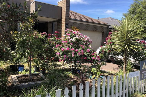 Apple House - Hervey Bay Accommodation 2