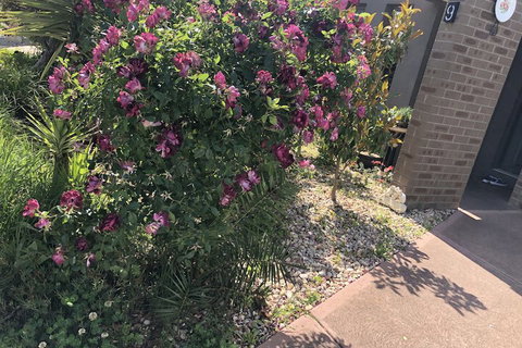 Apple House - Hervey Bay Accommodation 1