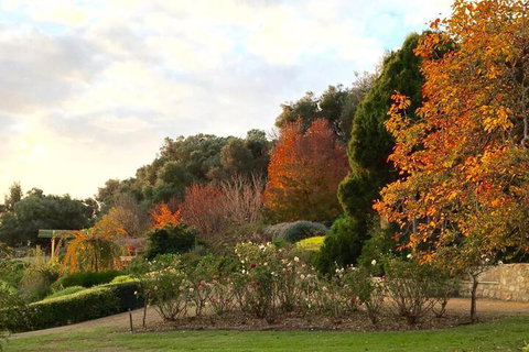 The Garden Cottage At The Olives - Hervey Bay Accommodation 2