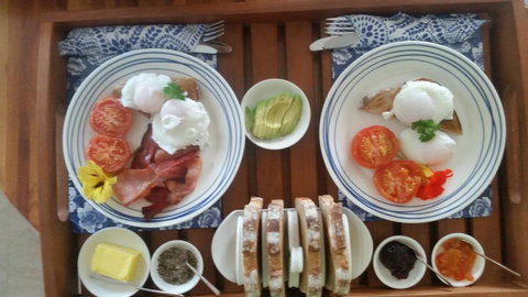 Beezneez B & B - Hervey Bay Accommodation 1