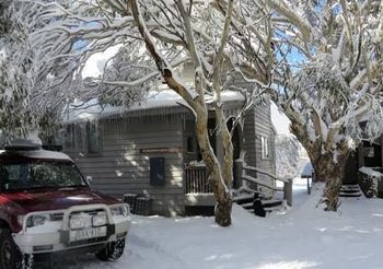 Powderhounds - Hervey Bay Accommodation 2