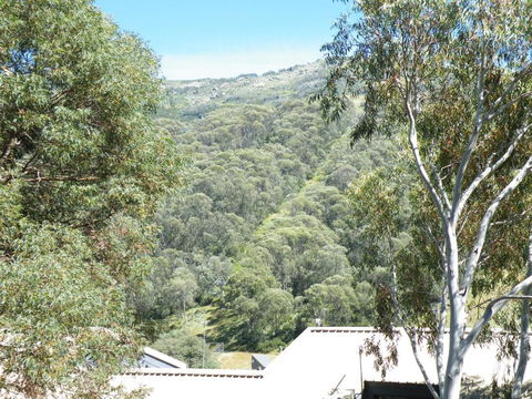 Mowamba E1 - Hervey Bay Accommodation 4
