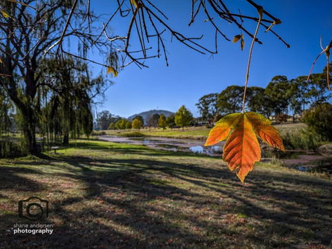 Dillons Cottage - Tourism Hervey Bay 4