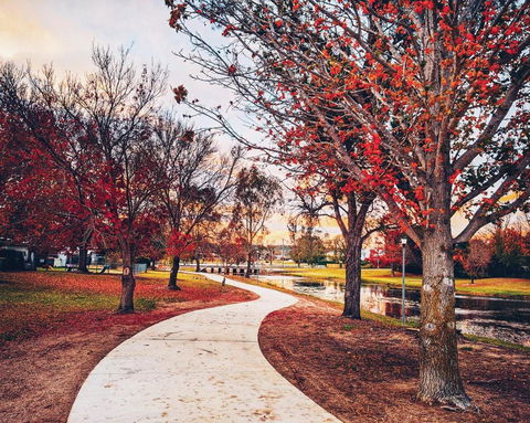 Dillons Cottage - Tourism Hervey Bay 3