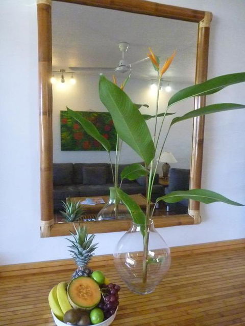 Port Douglas Penthouse Suite - Hervey Bay Accommodation 2
