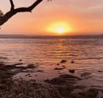 Paradise Beach Apartments