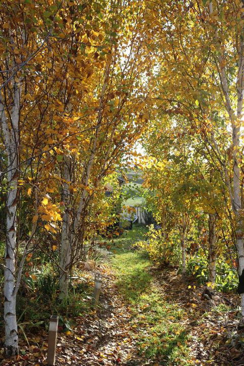 Magenta Cottage - Tourism Hervey Bay 1