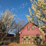 Magenta Cottage - Tourism Hervey Bay 0