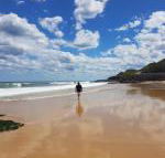 Arena Luxury Beachfront Apartment - Hervey Bay Accommodation
