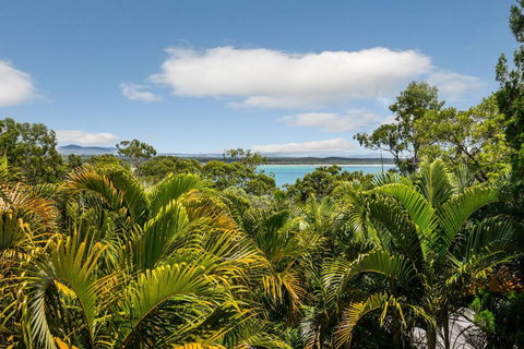 Hidden Rainforest Oasis Little Cove - Hervey Bay Accommodation 5