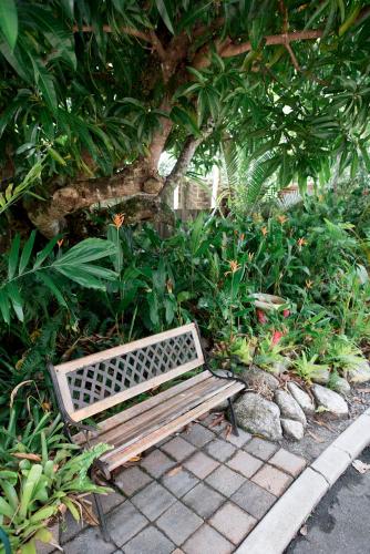 Mango Tree Private Apartments - Hervey Bay Accommodation 4