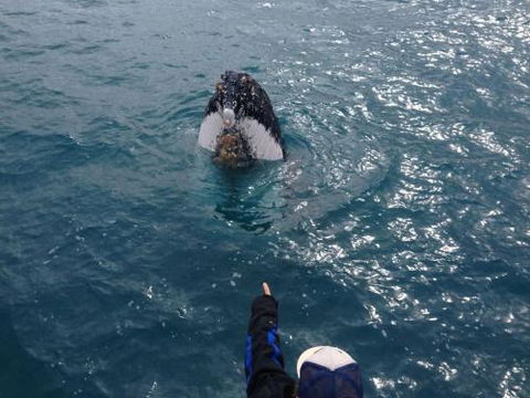 Number 72 Kalbarri Beach Resort - Tourism Hervey Bay 0