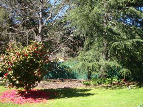 Ageri Holiday House - Tourism Hervey Bay 3