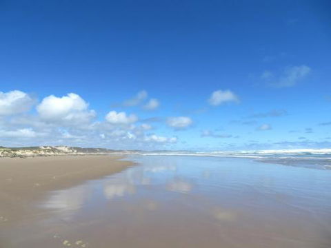 Arthur Riverfront & Sea Lodge Downstream - Tourism Hervey Bay 0