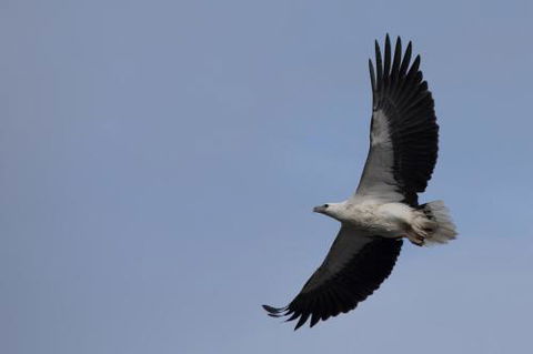 Arthur Riverfront & Sea Lodge Downstream - Tourism Hervey Bay 6