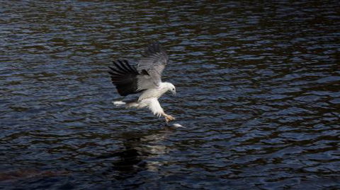 Arthur Riverfront & Sea Lodge Downstream - Tourism Hervey Bay 3