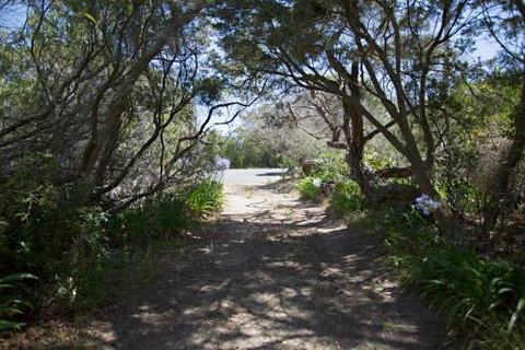 Dreamlands - Hervey Bay Accommodation 5