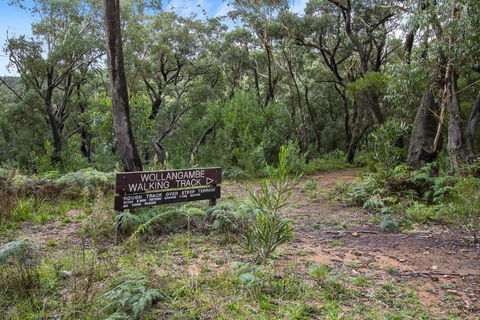 THE TEACHERS COTTAGE - Hervey Bay Accommodation 5
