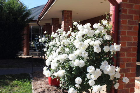 Gundaroo Manor Bed & Breakfast - Hervey Bay Accommodation 1