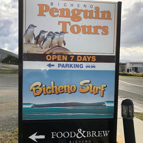 Bicheno Getaway - Hervey Bay Accommodation 4