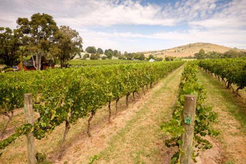Fergusson Winery Homestead Accomodation - Hervey Bay Accommodation 3