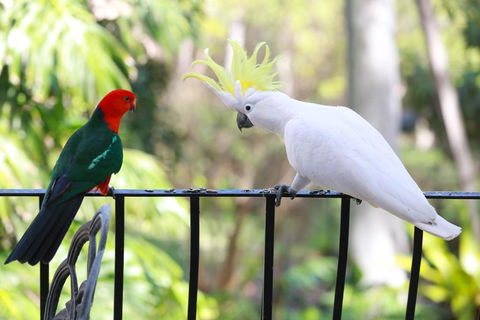 Palm Beach Bed & Breakfast - Tourism Hervey Bay 4